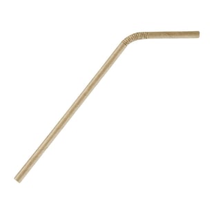 Fiesta Compostable | composteerbare papieren buigrietjes kraft (250 stuks)