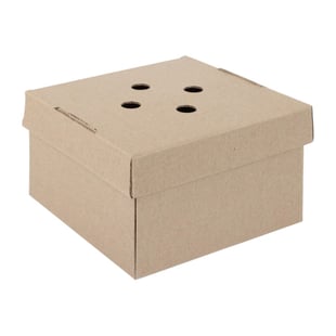 Fiesta Compostable | Fiesta Composteerbare Uitklapbare Hamburgerdozen (100 Stuks)